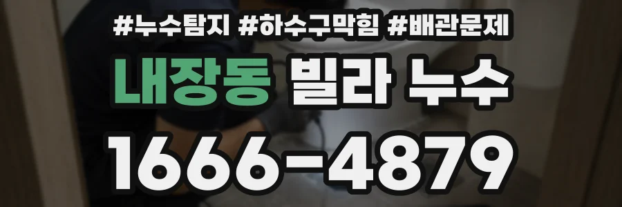 내장동 빌라 누수