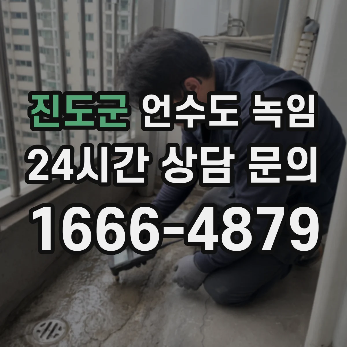 진도군 언수도 녹임