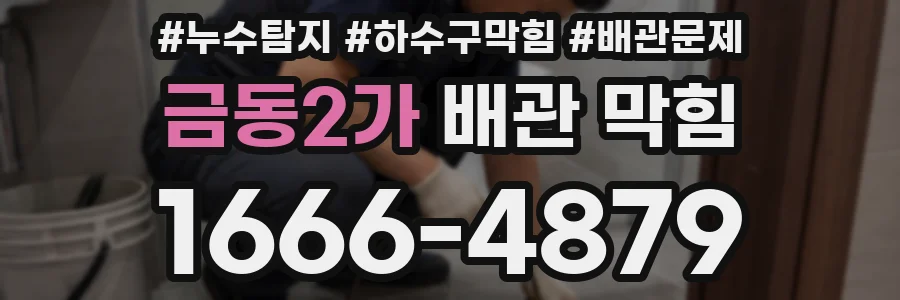 금동2가 배관 막힘