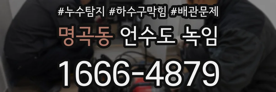 명곡동 언수도 녹임