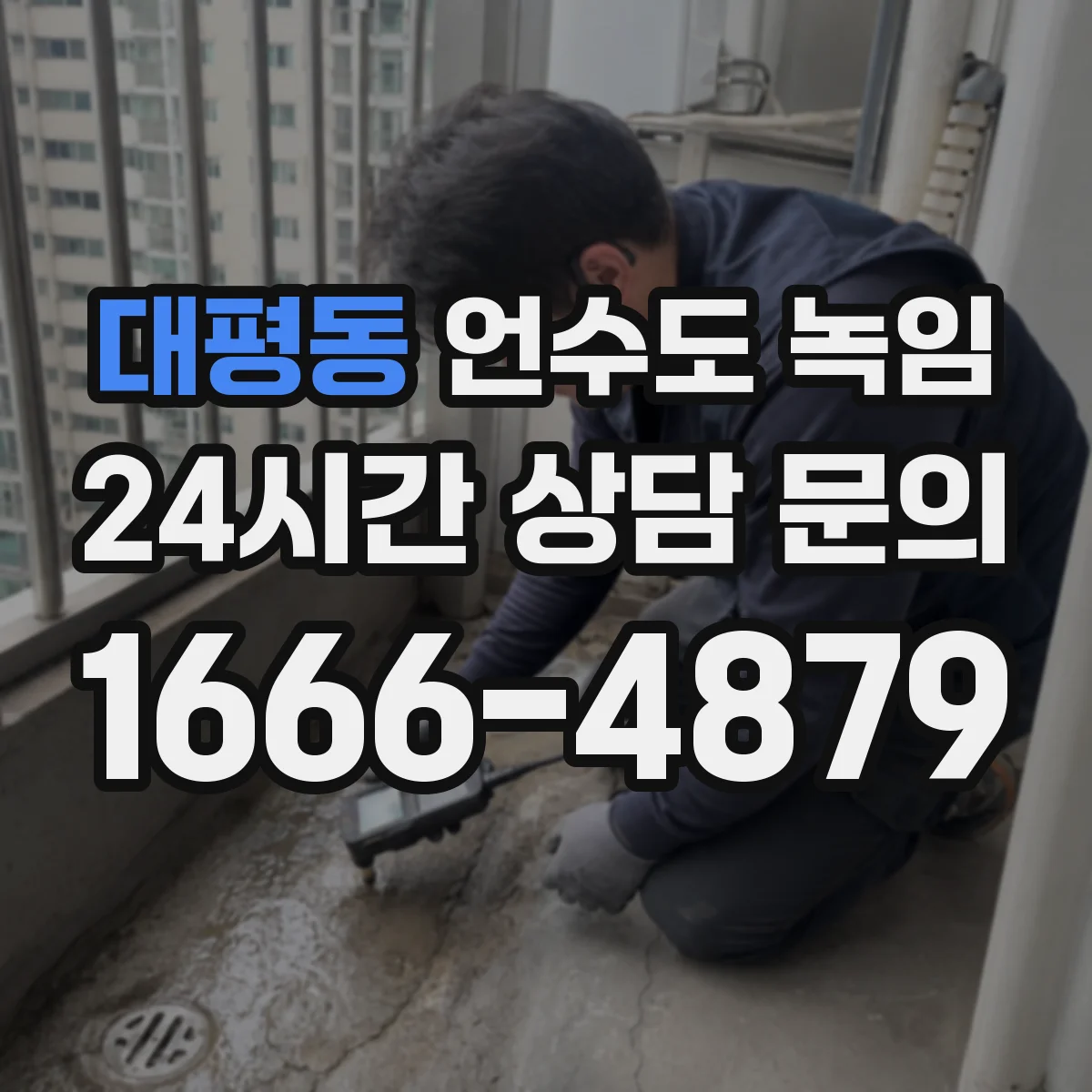 대평동 언수도 녹임
