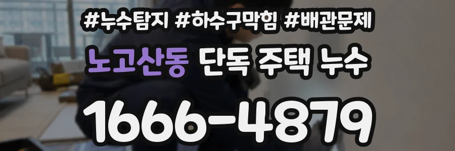 노고산동 단독 주택 누수