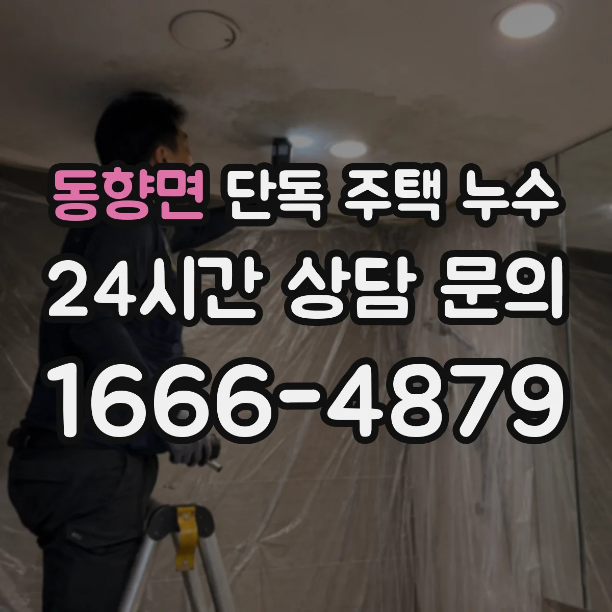 동향면 단독 주택 누수