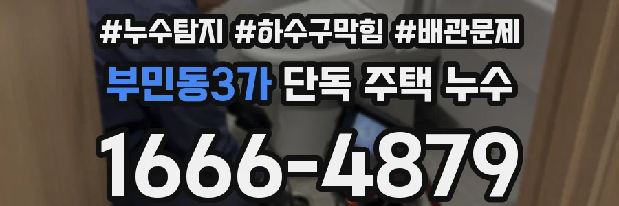 부민동3가 단독 주택 누수