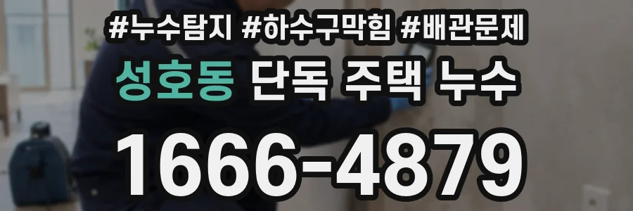 성호동 단독 주택 누수