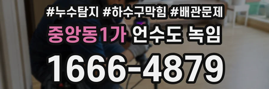 중앙동1가 언수도 녹임