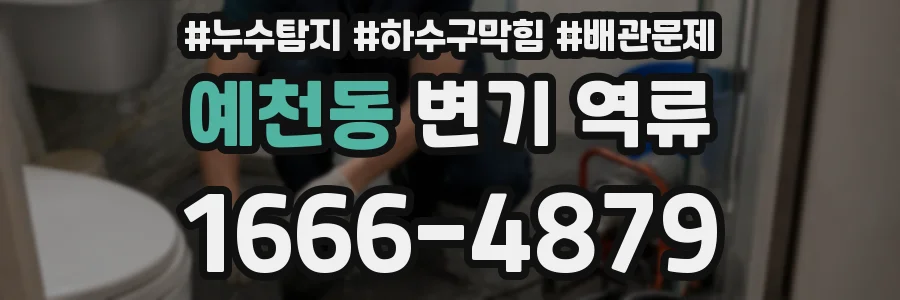 예천동 변기 역류