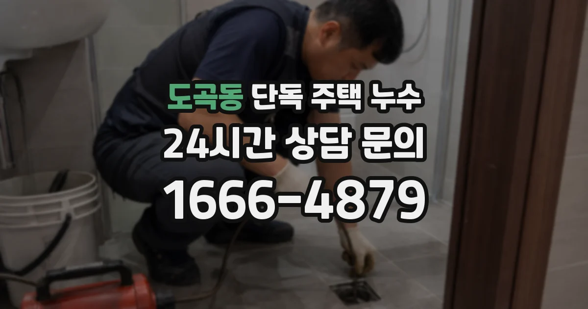 도곡동 단독 주택 누수