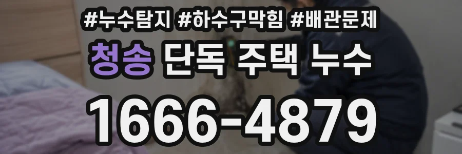 청송 단독 주택 누수