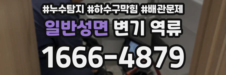 일반성면 변기 역류