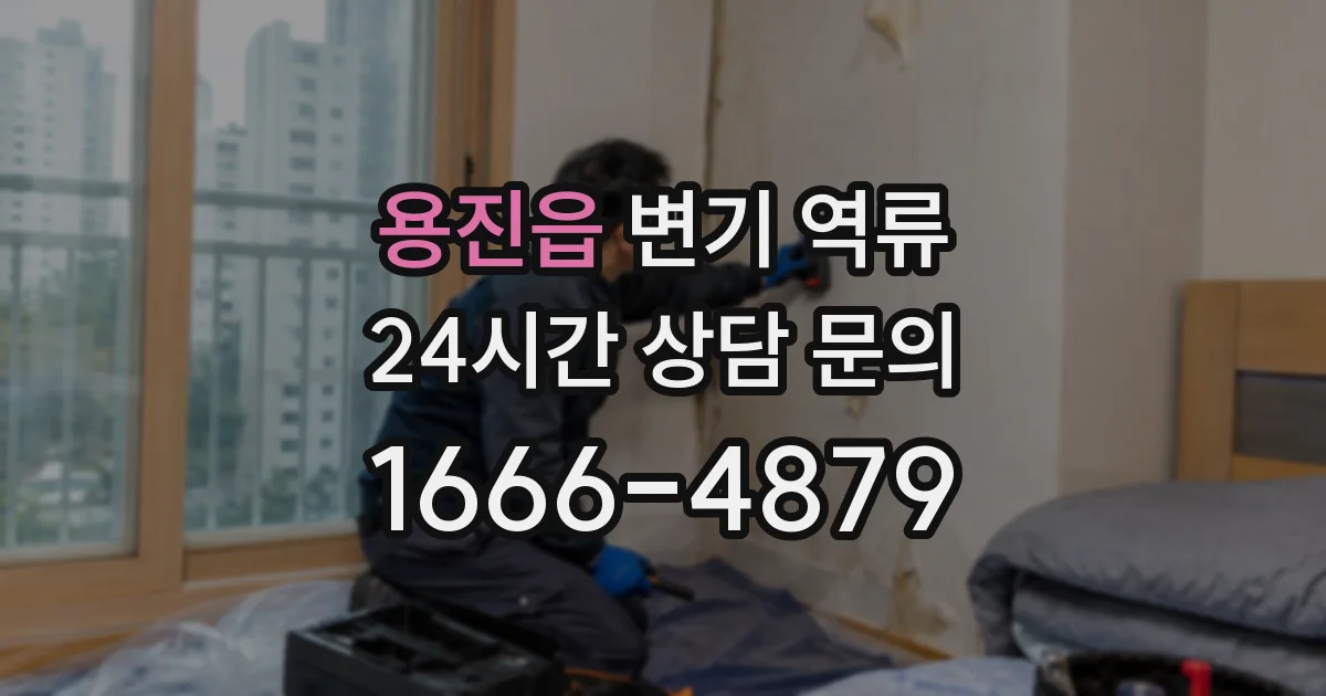 용진읍 변기 역류