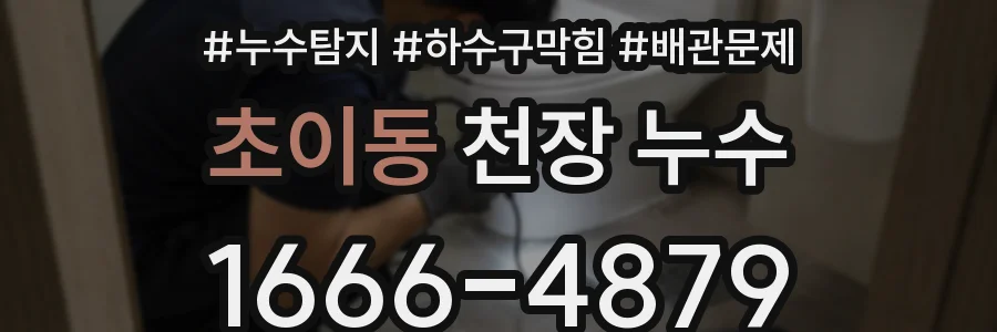 초이동 천장 누수