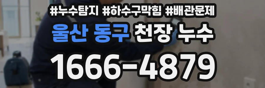 울산 동구 천장 누수