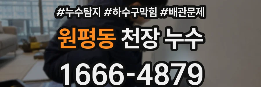원평동 천장 누수