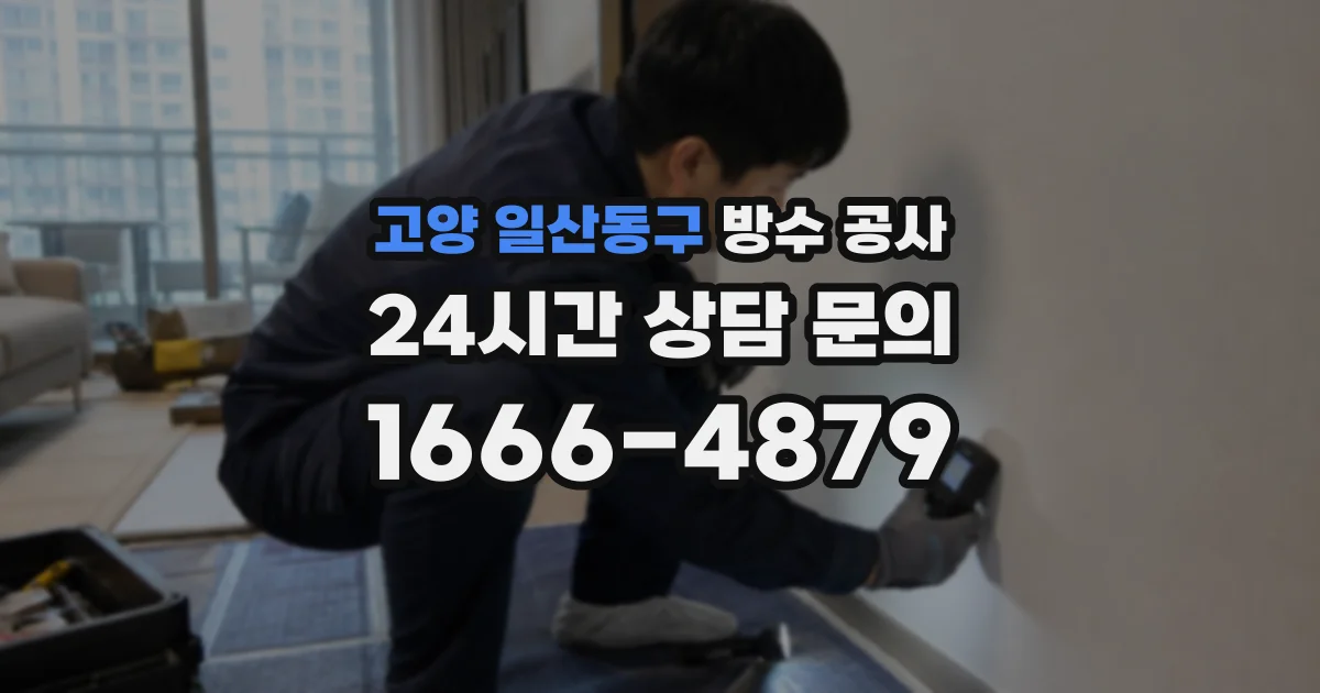 고양 일산동구 방수 공사
