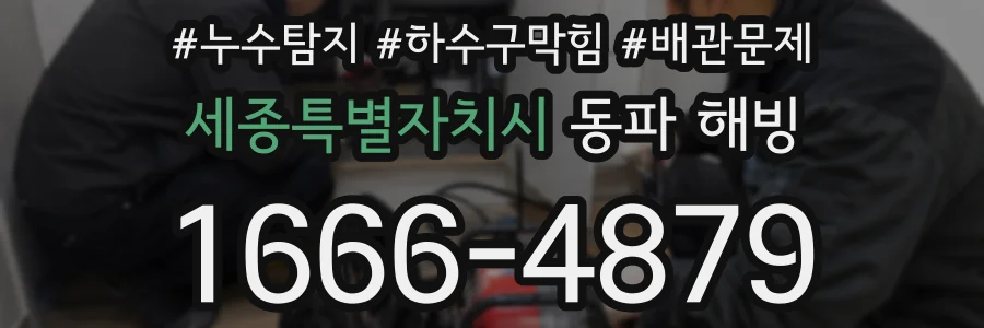 세종특별자치시 동파 해빙