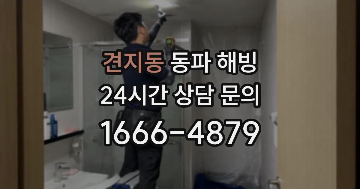 견지동 동파 해빙