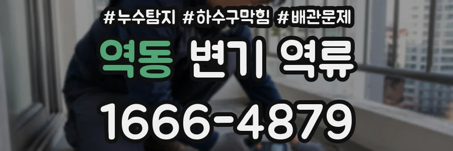 역동 변기 역류