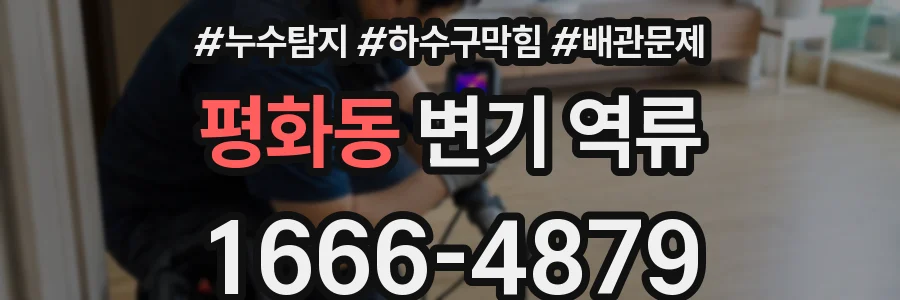 평화동 변기 역류