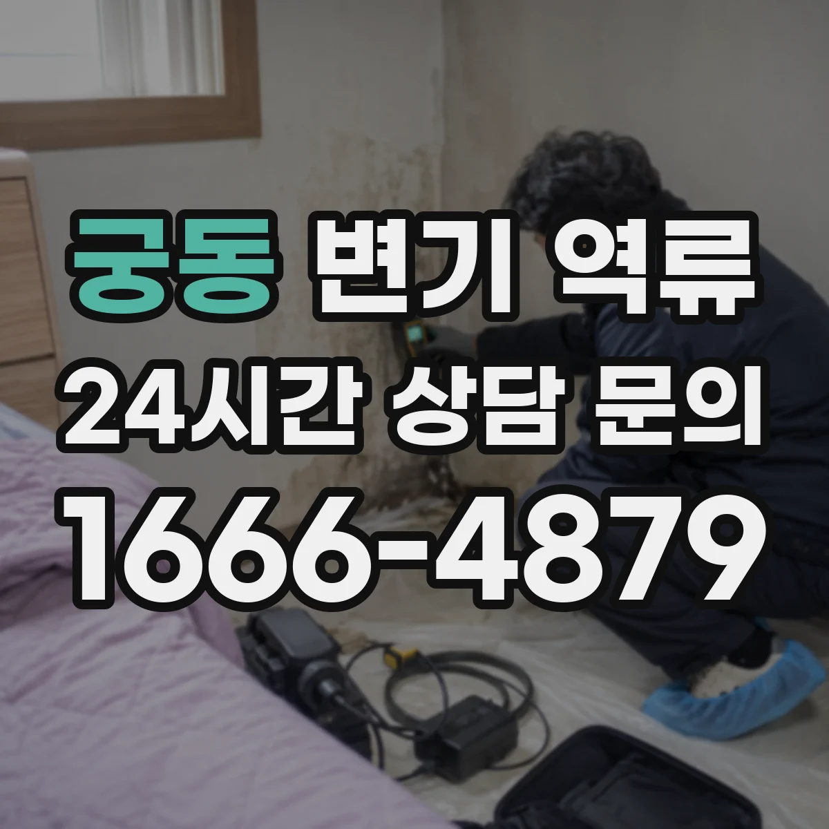 궁동 변기 역류