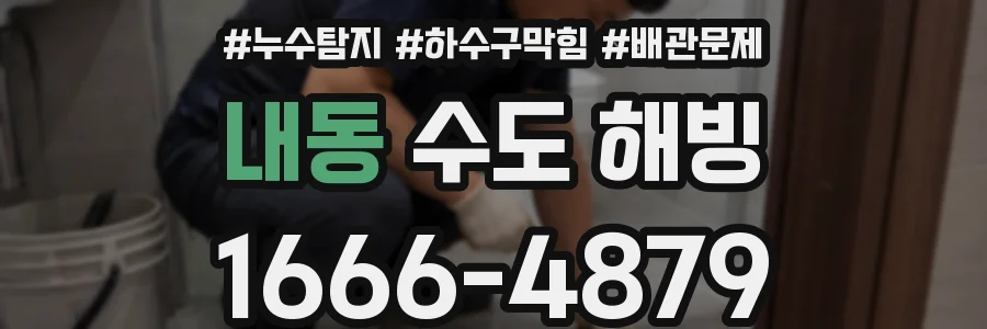 내동 수도 해빙