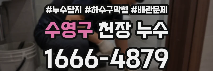 수영구 천장 누수