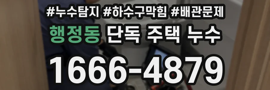 행정동 단독 주택 누수