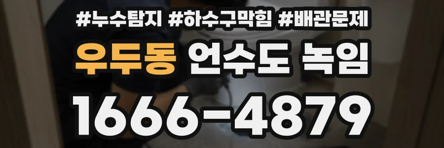 우두동 언수도 녹임