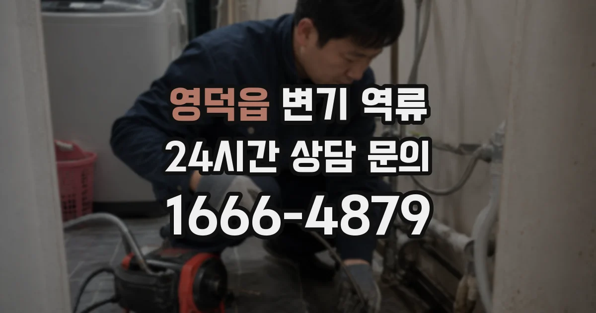 영덕읍 변기 역류