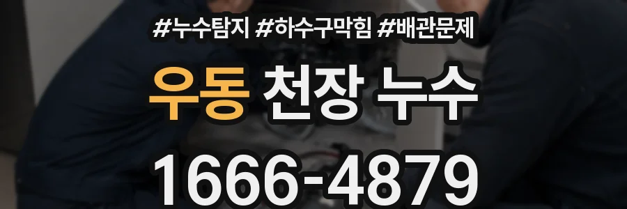 우동 천장 누수