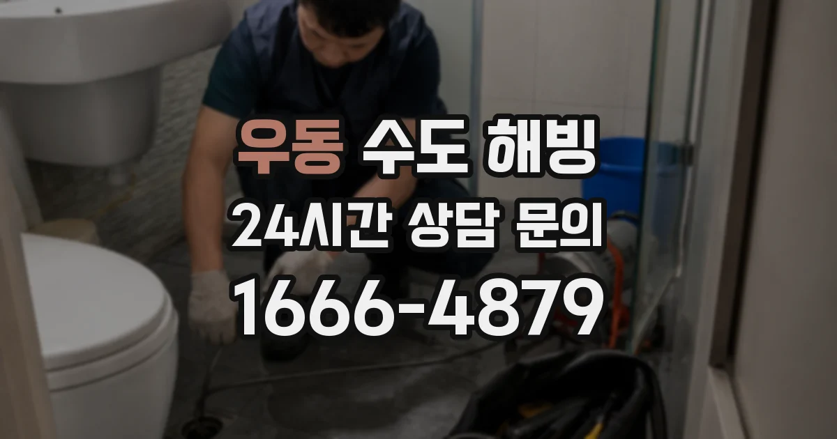 우동 수도 해빙