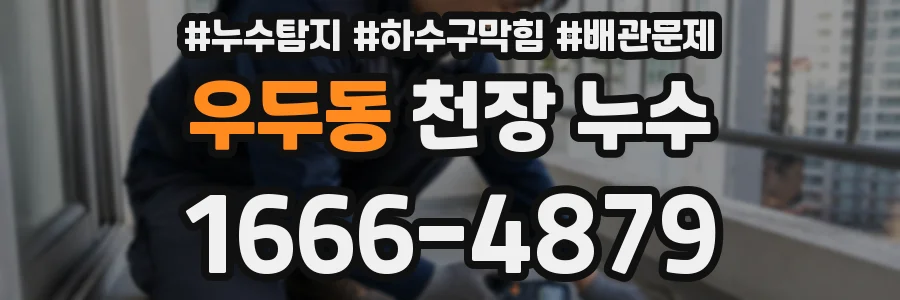 우두동 천장 누수