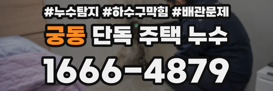 궁동 단독 주택 누수