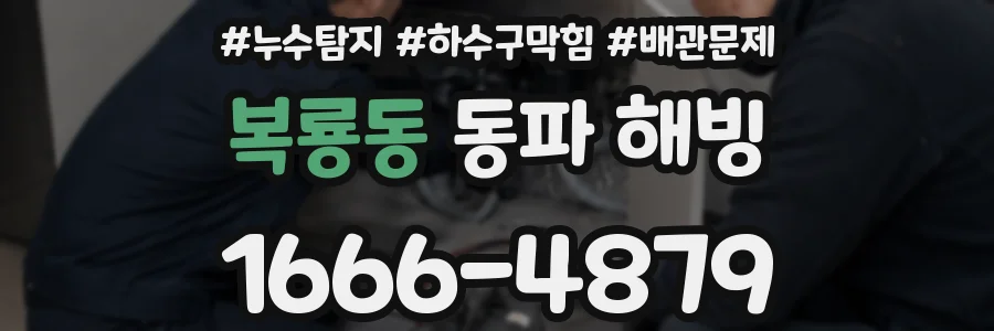 복룡동 동파 해빙