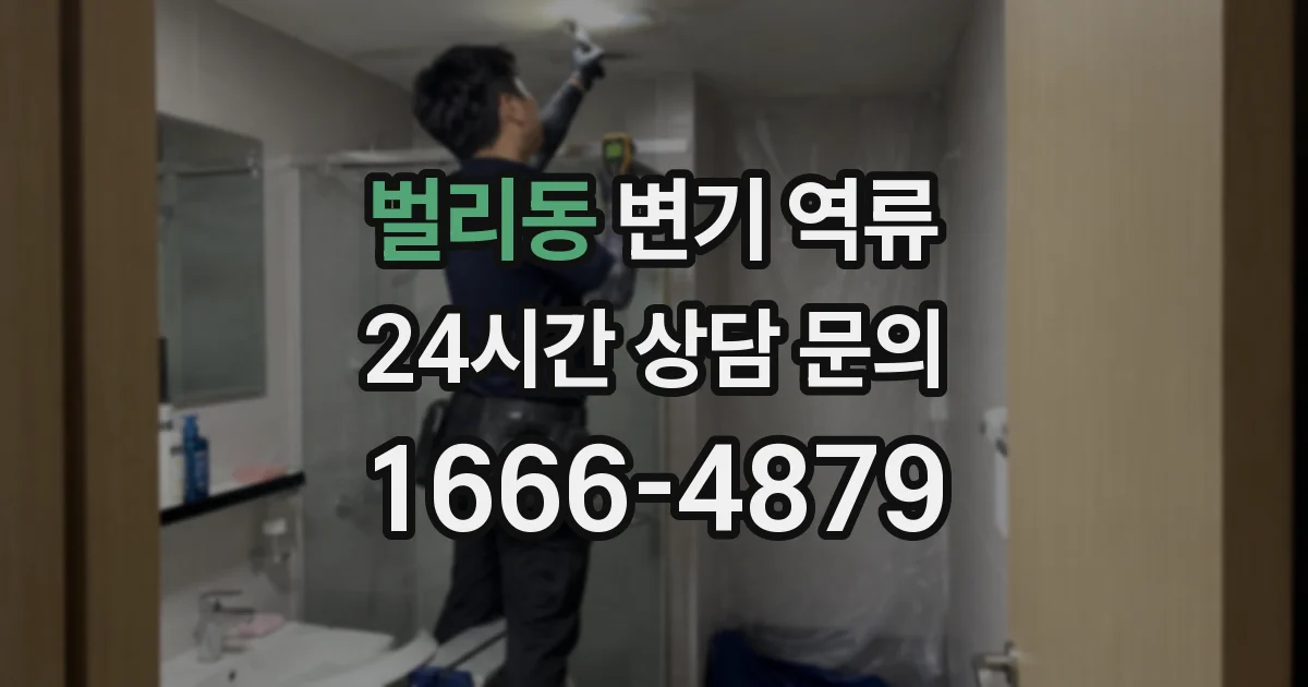 벌리동 변기 역류