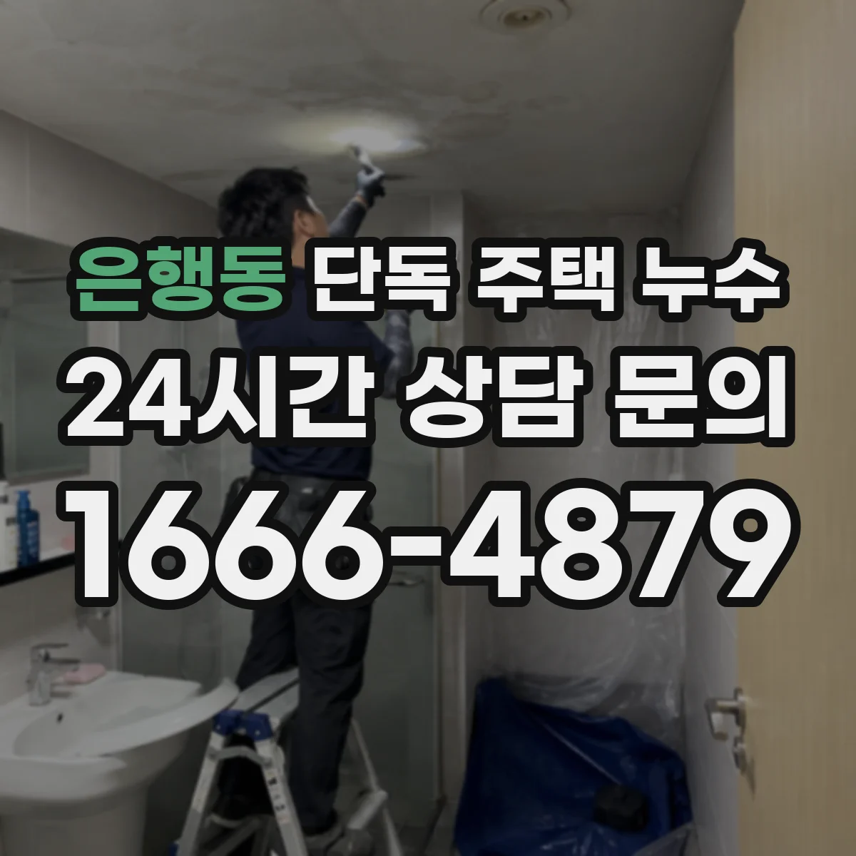 은행동 단독 주택 누수