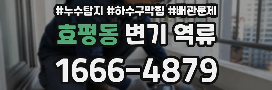 효평동 변기 역류