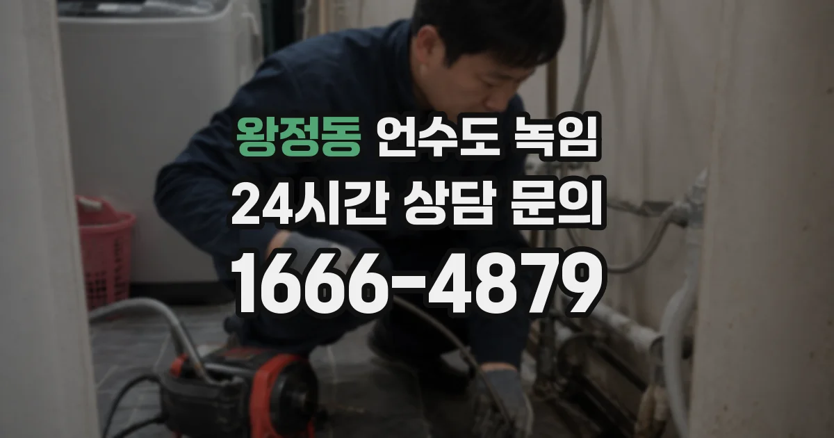 왕정동 언수도 녹임