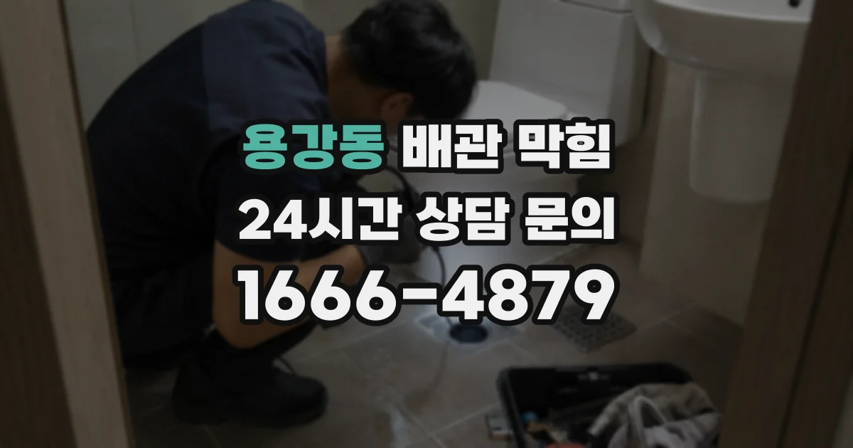 용강동 배관 막힘
