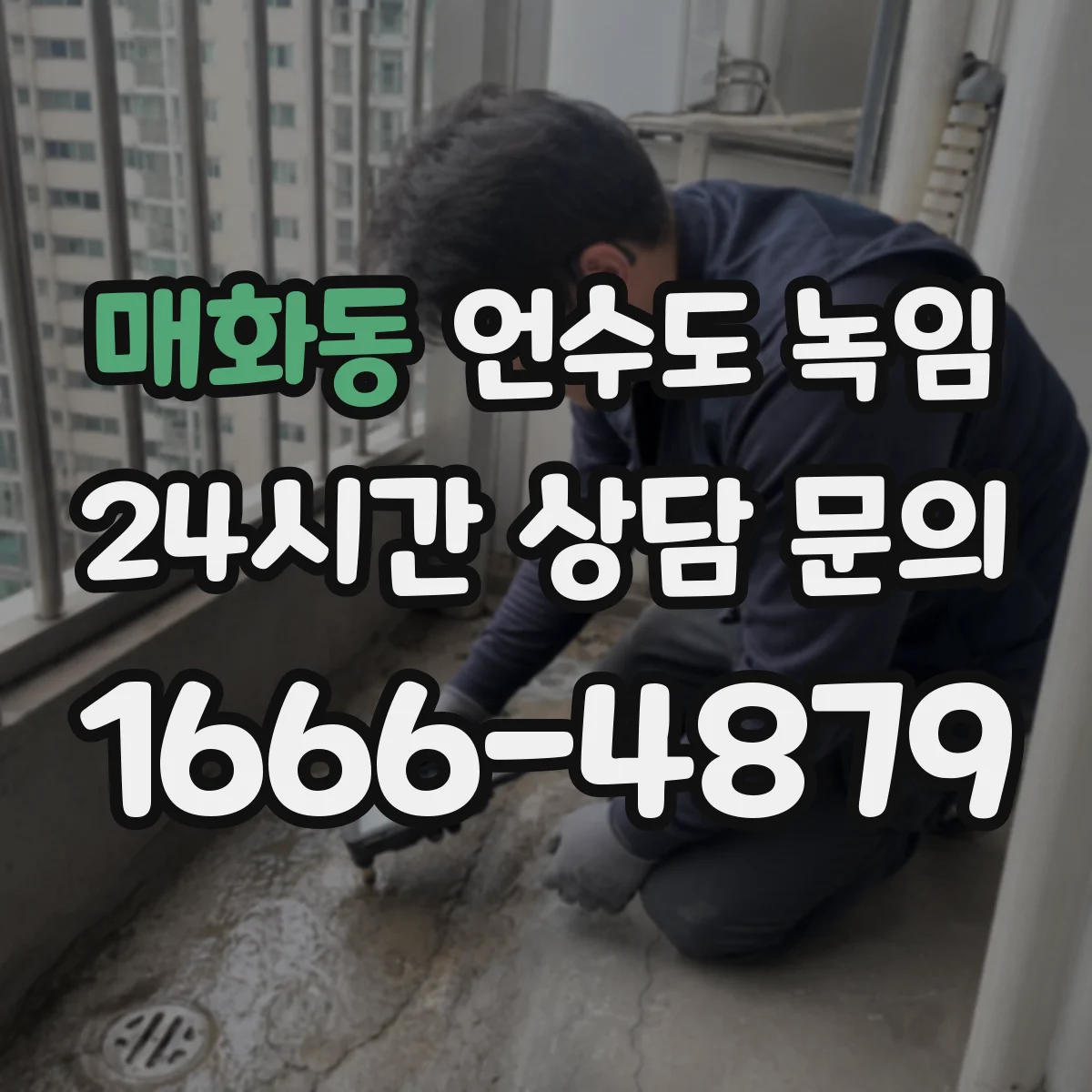 매화동 언수도 녹임
