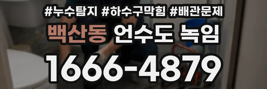 백산동 언수도 녹임