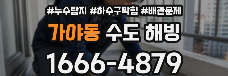 가야동 수도 해빙
