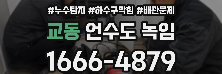 교동 언수도 녹임