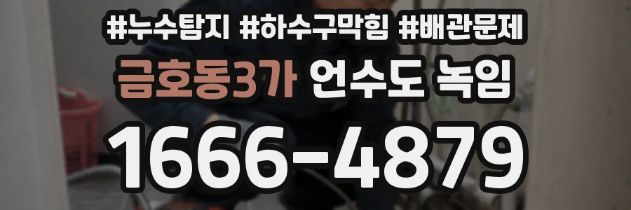 금호동3가 언수도 녹임