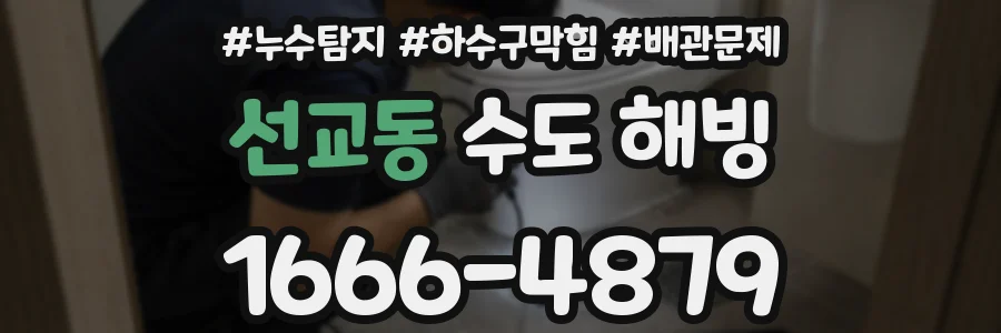 선교동 수도 해빙