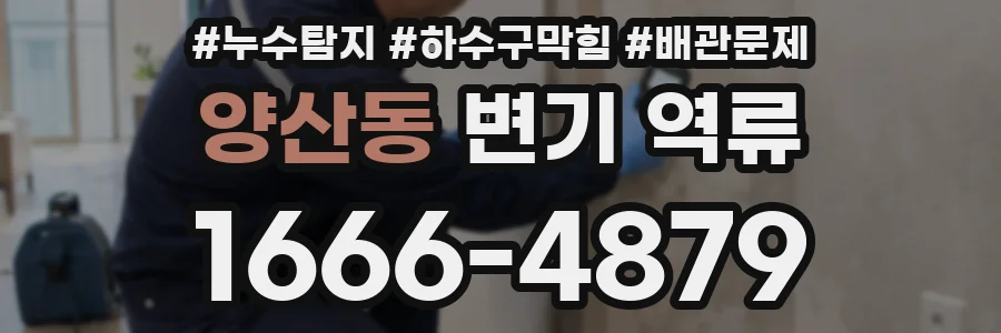 양산동 변기 역류