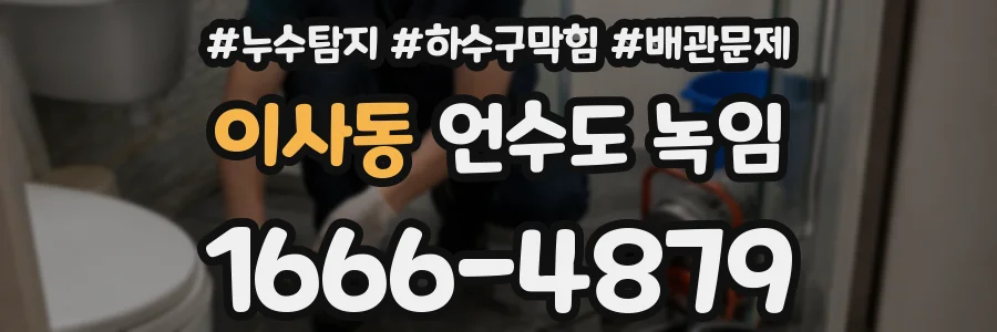 이사동 언수도 녹임
