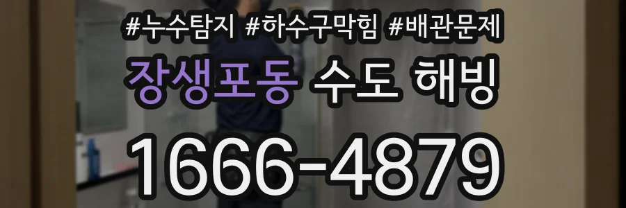 장생포동 수도 해빙