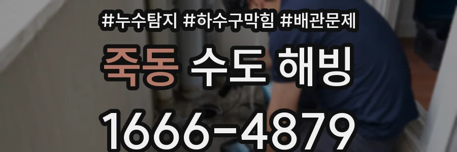 죽동 수도 해빙