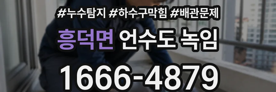 흥덕면 언수도 녹임